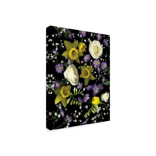 Susan S. Barmon 'Flowers 3' Canvas Art,14x19